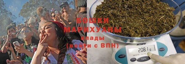 прущие грибы Арсеньев