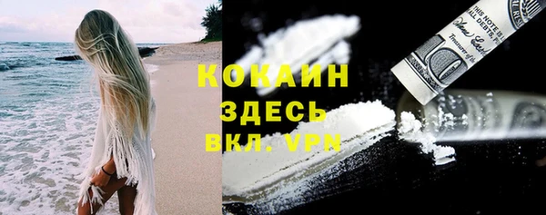 прущие грибы Арсеньев