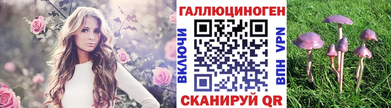 Галлюциногенные грибы прущие грибы hydra вход Солигалич